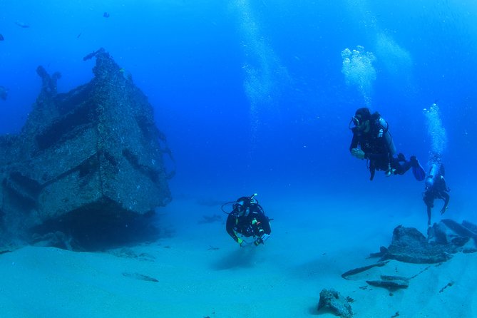 Learn to Scuba Dive in Cabo San Lucas with PADI - A gentle first step into scuba in Cabo