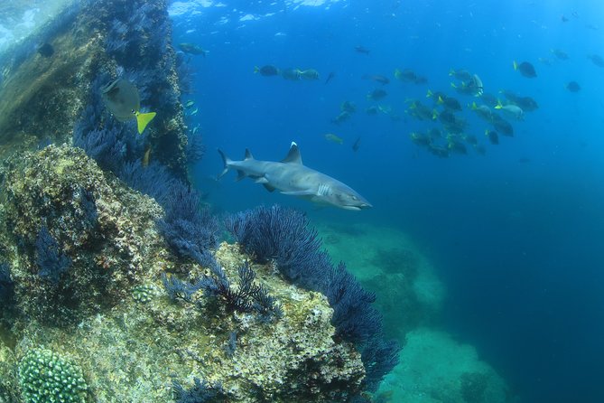 Learn to Scuba Dive in Cabo San Lucas with PADI - El Arco gives the boat ride its visual reward