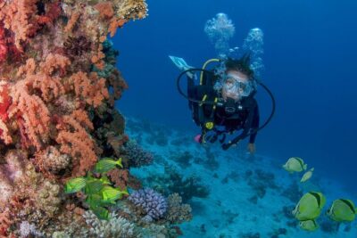 Learn to Scuba Dive in Cabo San Lucas with PADI