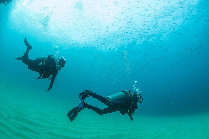 Learn to Scuba Dive in Cabo San Lucas with PADI - Who will enjoy this session most