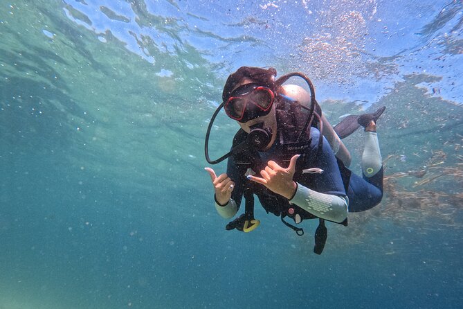 Los Cabos 1 tank dive to Land’s End (Certified Divers) - Key points to know before booking
