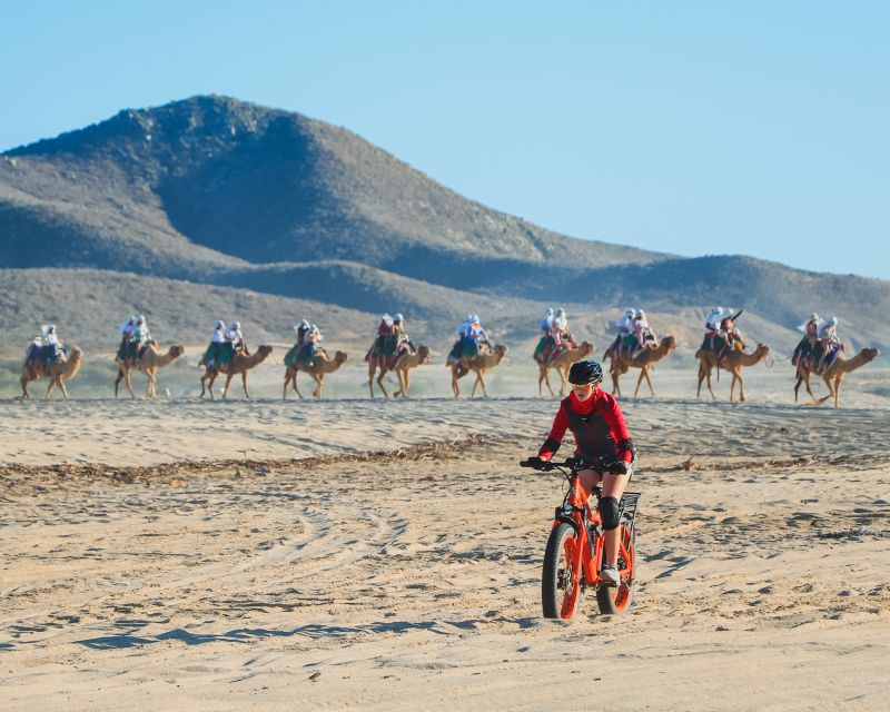 Los Cabos: 2 in 1 Combo Tour - Practical details to settle before booking