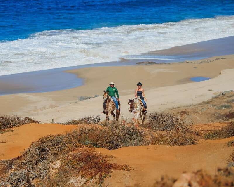 Los Cabos: 2 in 1 Combo Tour - What the price really covers