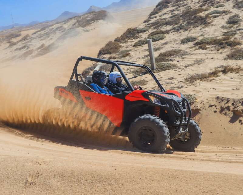Los Cabos: 2 in 1 Combo Tour - Who should book this experience