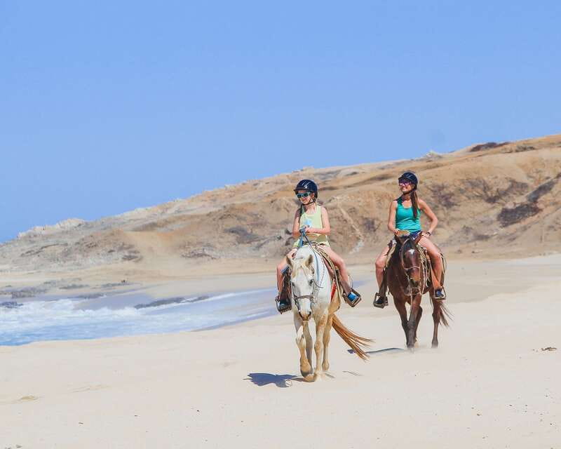 Los Cabos: 2 in 1 Combo Tour - A beach ride by camel or horse