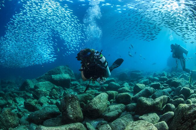 Los Cabos 2 tanks dive to The Corridor (Certified divers) - What the crew adds to the experience