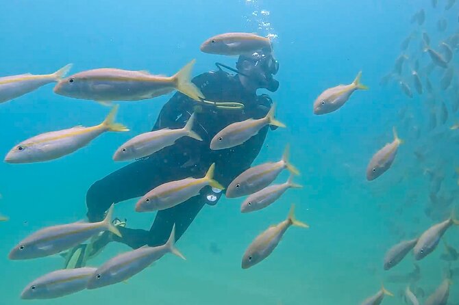 Los Cabos 2 tanks dive to The Corridor (Certified divers) - Fitness, certification, and flight planning