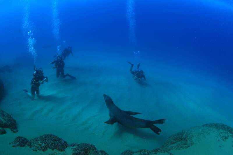 Los Cabos 3-Hour Certified Scuba Diving Tour - What your 3.5 hours near Cabo actually include