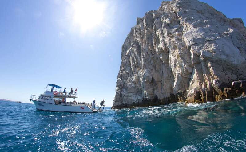 Los Cabos 3-Hour Certified Scuba Diving Tour - Marine life you might see below the surface