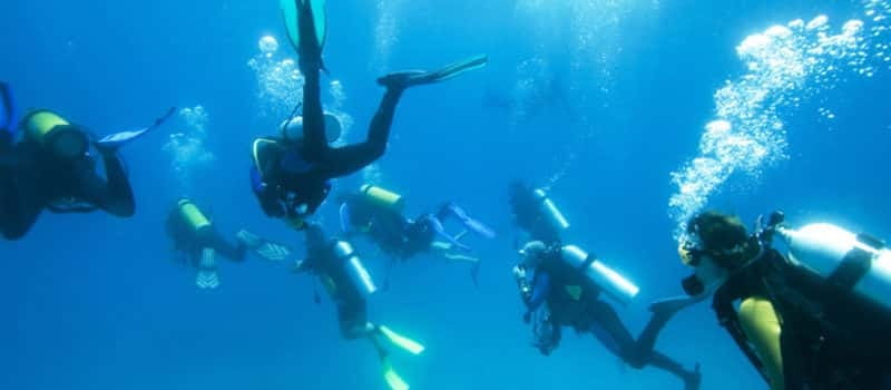 Los Cabos 3-Hour Certified Scuba Diving Tour - Who should book this Cabo scuba outing