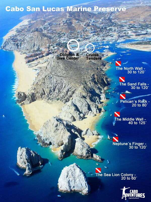 Los Cabos 3-Hour Certified Scuba Diving Tour - My take: a strong short option with a higher final cost