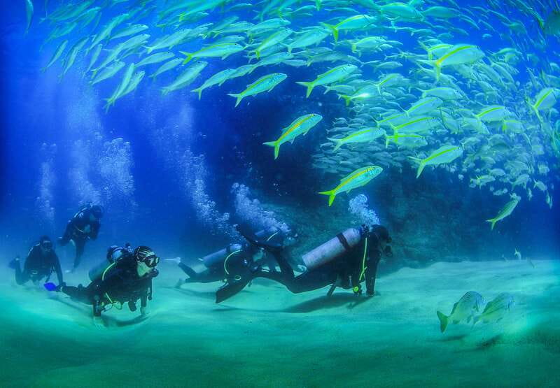 Los Cabos: 3-Hour Introductory Scuba Diving Adventure - The shallow-water check builds confidence