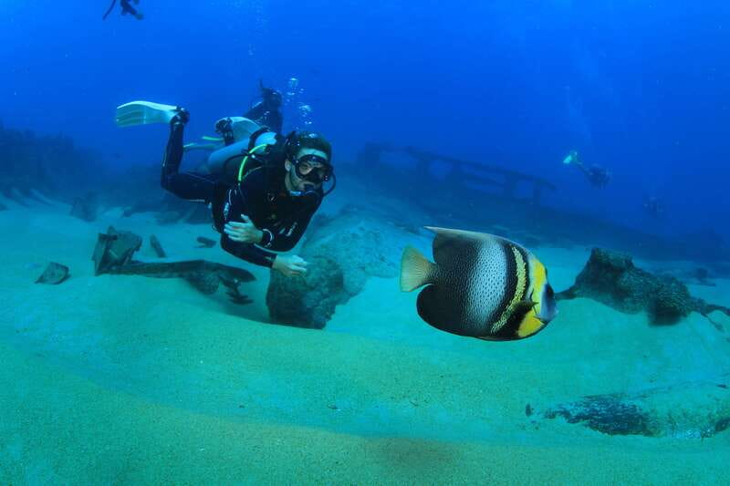 Los Cabos: 3-Hour Introductory Scuba Diving Adventure - Water temperature and visibility by season