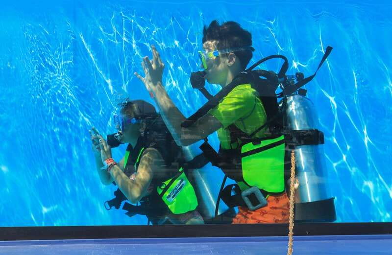 Los Cabos: 3-Hour Introductory Scuba Diving Adventure - The six-person group is a real advantage