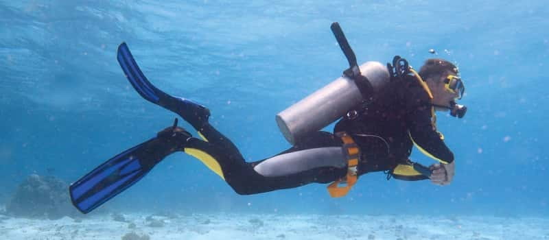Los Cabos: 3-Hour Introductory Scuba Diving Adventure - Is the cancellation policy useful?