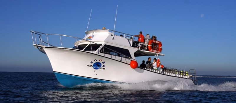 Los Cabos: 3-Hour Introductory Scuba Diving Adventure - The 30-minute lesson comes first