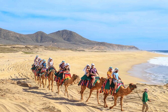 Los Cabos 3 in 1 Adventure: Camel Ride, Lunch and Arch Boat Tour - Key points to know before booking