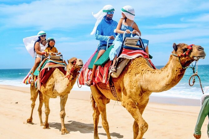 Los Cabos 3 in 1 Adventure: Camel Ride, Lunch and Arch Boat Tour - What the $152.10 price really covers