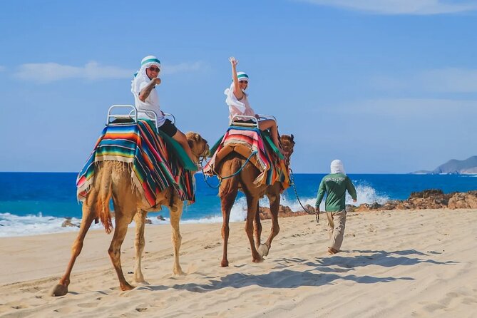 Los Cabos 3 in 1 Adventure: Camel Ride, Lunch and Arch Boat Tour - Who will enjoy this Cabo combination