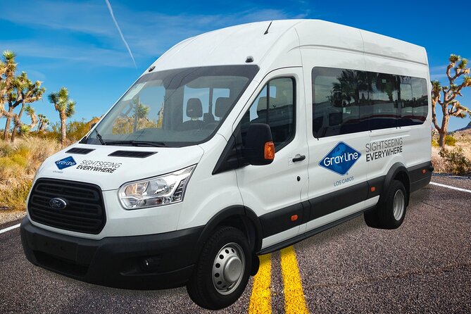 Los Cabos Airport One Way Shuttle Only Arrival - Waiting time is the price of the low fare