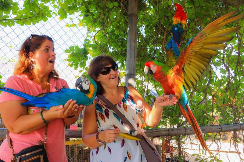 Los Cabos: Animal Encounter & Aqua Park Adventure - Key points to know before you book