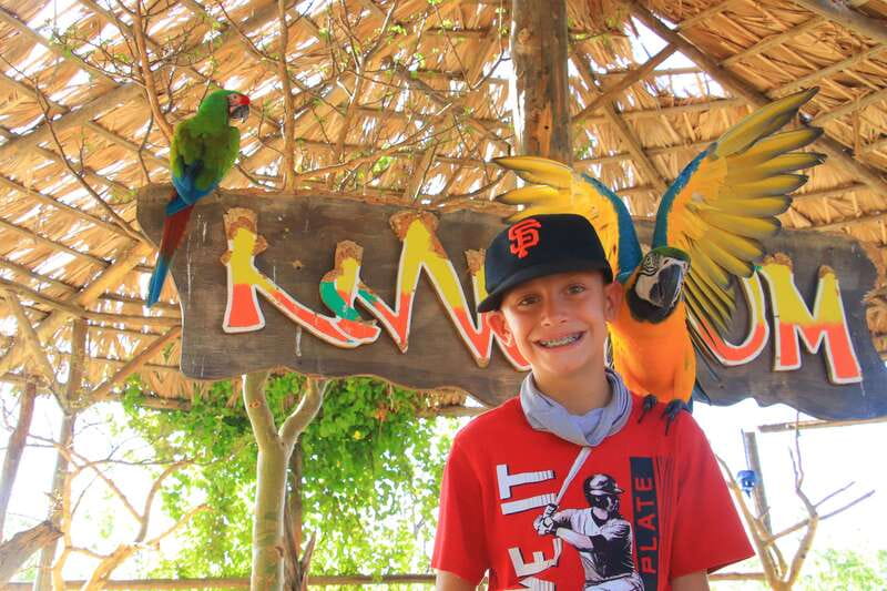 Los Cabos: Animal Encounter & Aqua Park Adventure - Booking details that can save you trouble
