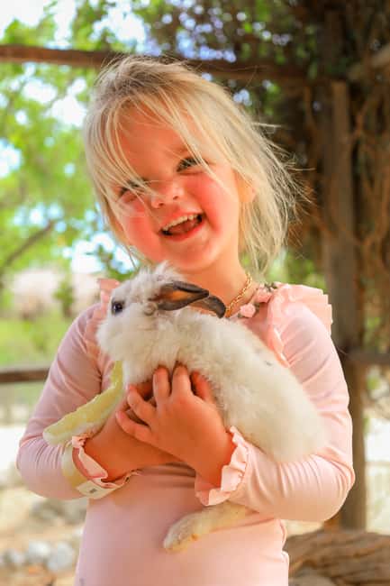 Los Cabos: Animal Encounter & Aqua Park Adventure - Meeting rescued animals at Wild Canyon Kingdom