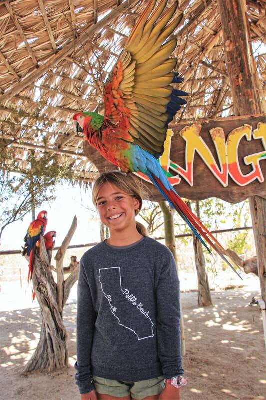 Los Cabos: Animal Encounter & Aqua Park Adventure - Two hours of guided wildlife viewing