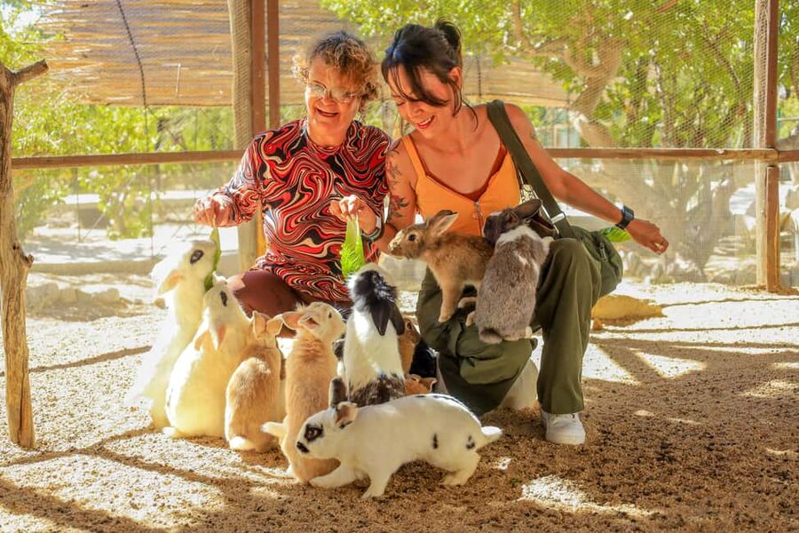 Los Cabos: Animal Encounter & Aqua Park Adventure - The hanging bridge and the second half of the visit