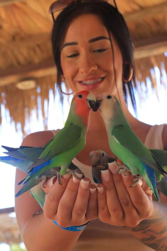 Los Cabos: Animal Encounter & Aqua Park Adventure - What the $115 price really means
