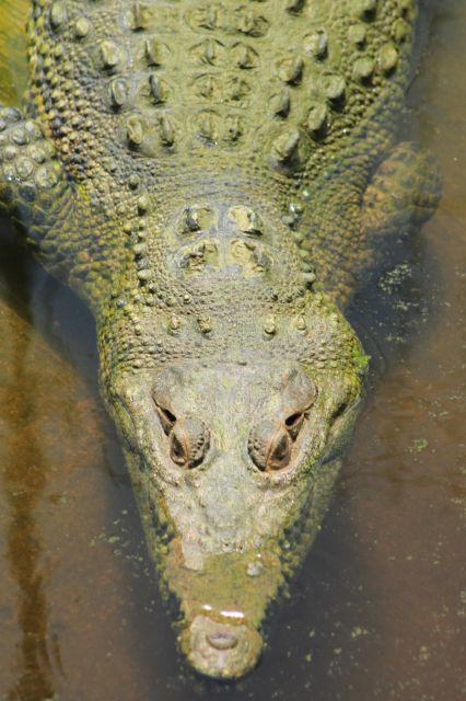 Los Cabos: Animal Encounter & Aqua Park Adventure - Pickup from Cabo San Lucas and San Jose del Cabo