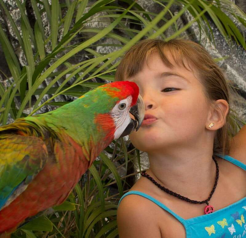 Los Cabos: Animal Encounter & Aqua Park Adventure - Who will enjoy this four-hour outing