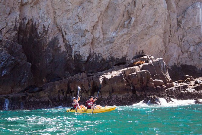 Los Cabos Arch and Playa del Amor Tour by Glass Bottom Kayak - What the $95 price really covers
