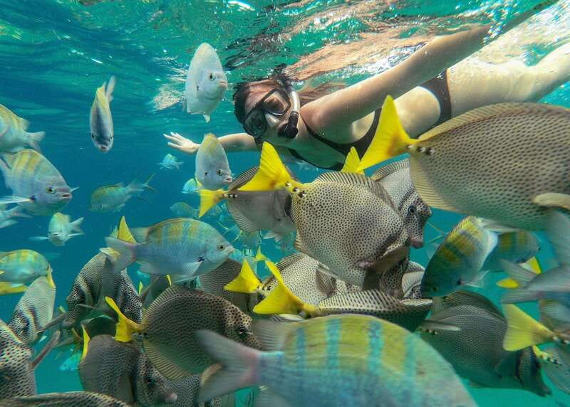 Los Cabos Arch & Lover’s Beach Tour + Snorkeling Tour - Who will get the most from this outing