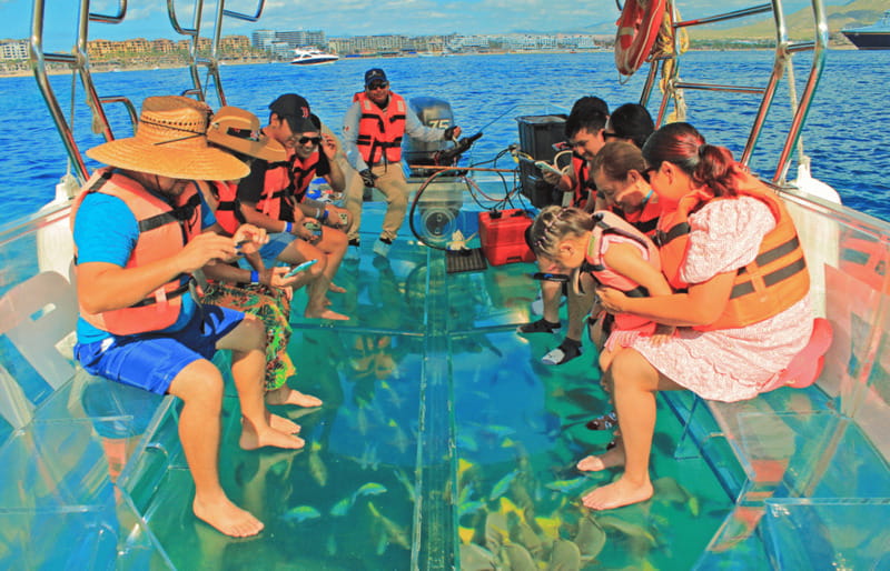 Los Cabos Arch & PelicanRock Cabo San Lucas CrystalBoat Tour - Who should book this 45-minute outing