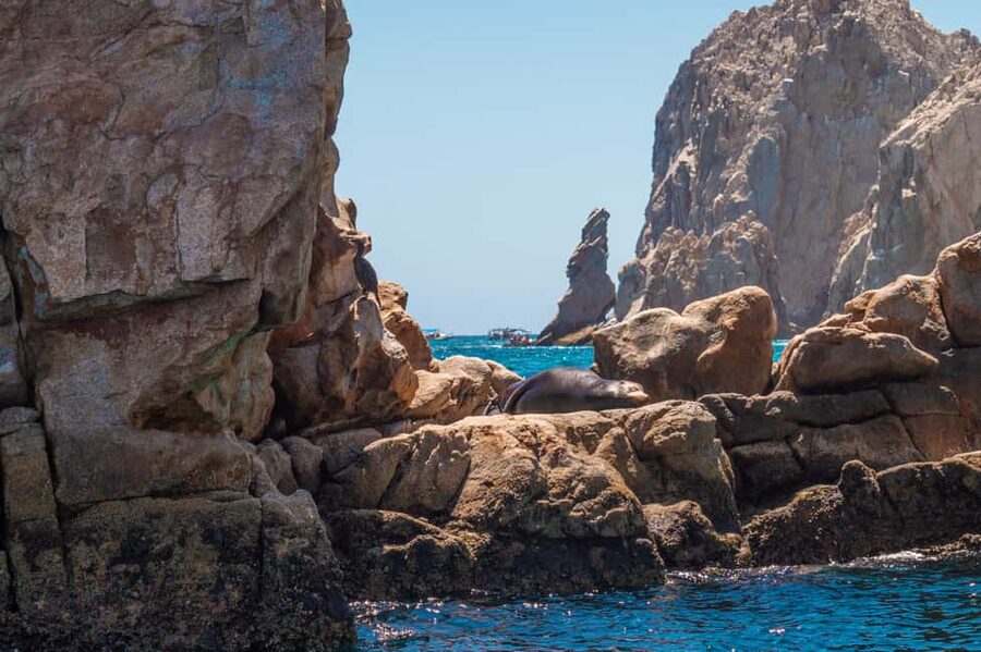 los cabos arch tour & drinks +snorkel tour - A short boat ride with a lot packed into two hours