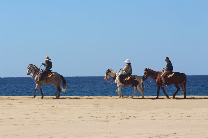 Los Cabos ATV and Pacific Horseback Riding Combo Tour - Who will enjoy this four-hour combo