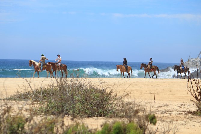 Los Cabos ATV and Pacific Horseback Riding Combo Tour - Horseback riding beside Migriño Beach
