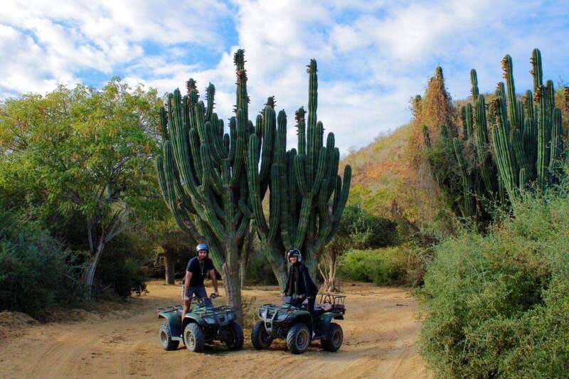 Los cabos:ATV beach&desert with transfer & tequila tasting - Tequila tasting and the uncertain extras