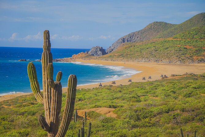 Los Cabos ATV Tour Double Rider - Key points before you book