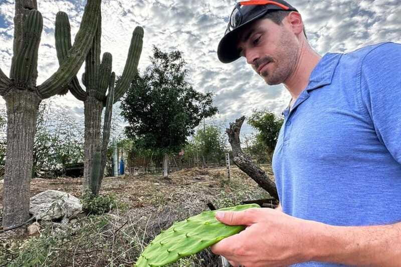 Los Cabos: Azteca Cactus Taco Farm to Table Cooking Class - Who Should Book This Experience?