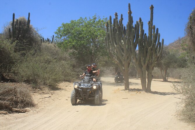 Los Cabos Beach & Desert Tour in Automatic ATV + Tequila Tasting - The Real Price: $75 Plus the Extras