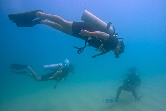 Los Cabos Beginner Scuba Dive Experience - A gentle first step beneath Cabo San Lucas Bay