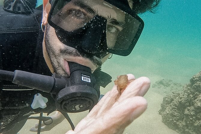Los Cabos Beginner Scuba Dive Experience - What the $143 price really covers