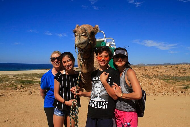 Los Cabos Camel Ride Adventure On The Beach - An all-you-can-eat buffet makes the price easier to judge