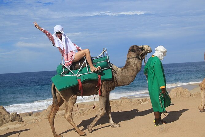 Los Cabos Camel Ride Adventure On The Beach - Transport can turn a three-and-a-half-hour tour into a longer day