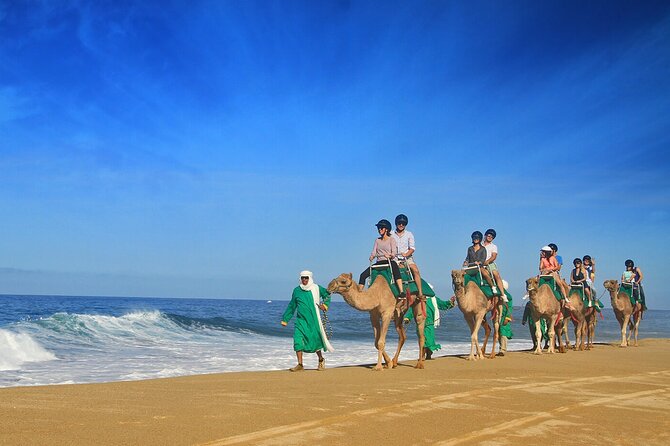 Los Cabos Camel Ride Adventure On The Beach - Cruise passengers need to get the meeting details right