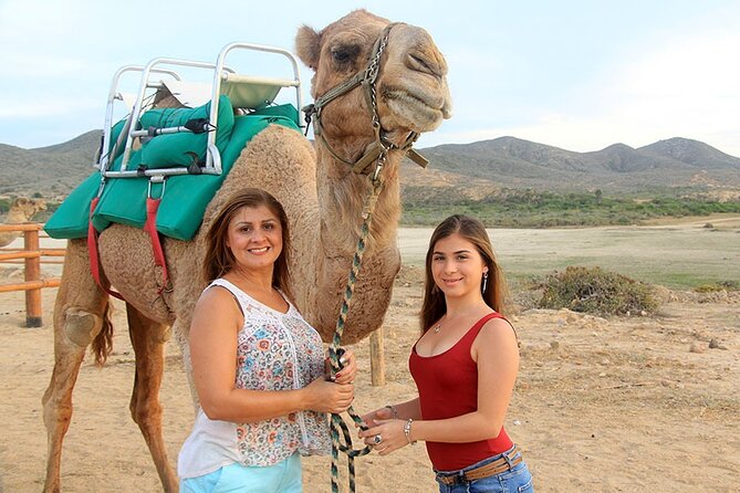 Los Cabos Camel Ride Adventure On The Beach - Who will enjoy this Cabo excursion most