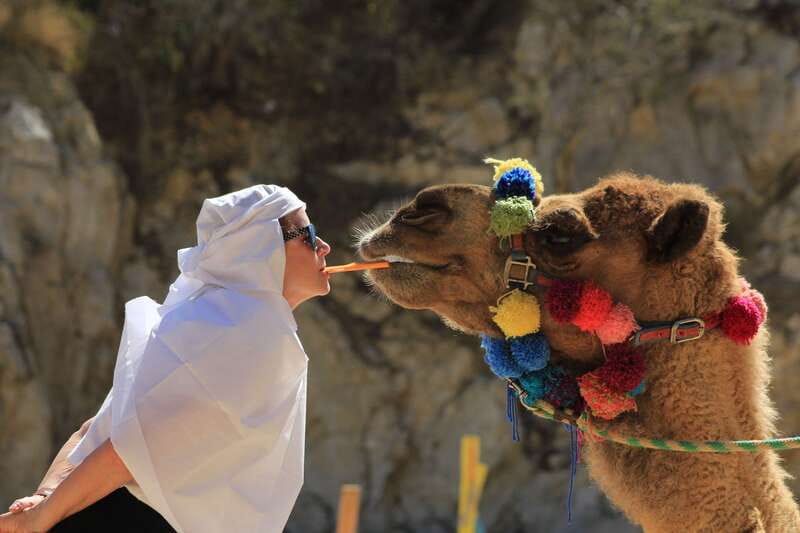 Los Cabos: Camel Ride in the Canyon & Thrilling Water-Slides - Key points to know before booking