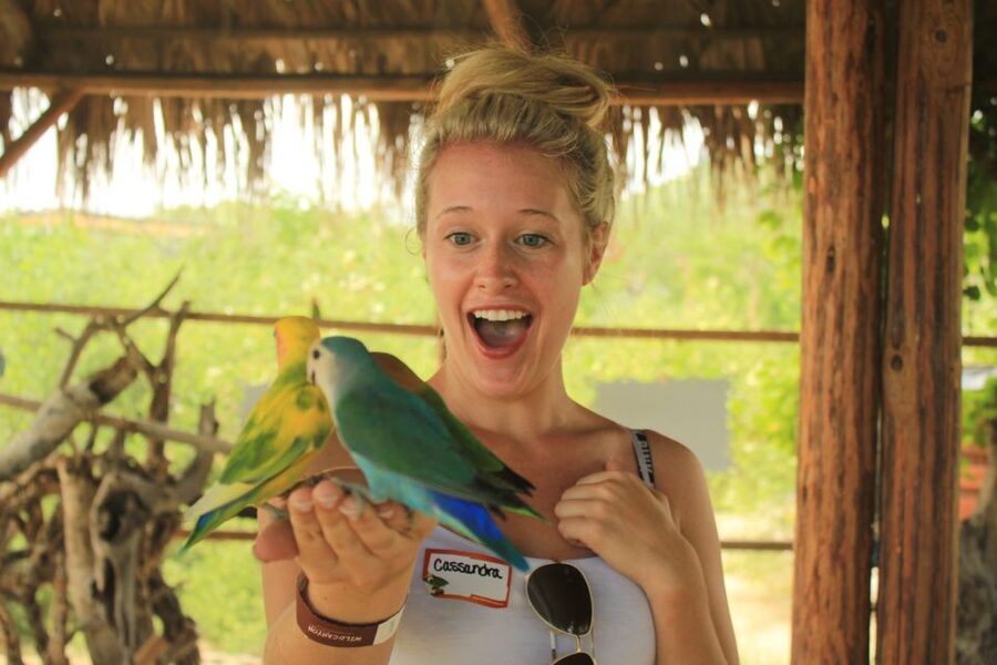 Los Cabos: Camel Ride in the Canyon & Thrilling Water-Slides - Quesadillas, guacamole, and a drink at Lion’s Den